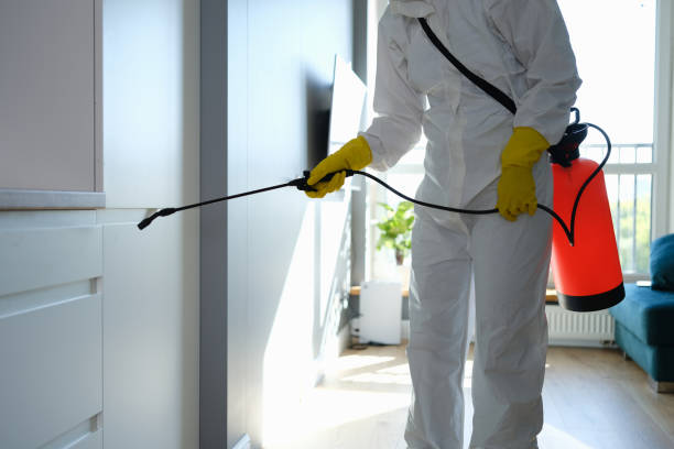 Best Commercial Mold Removal  in Franklin, PA