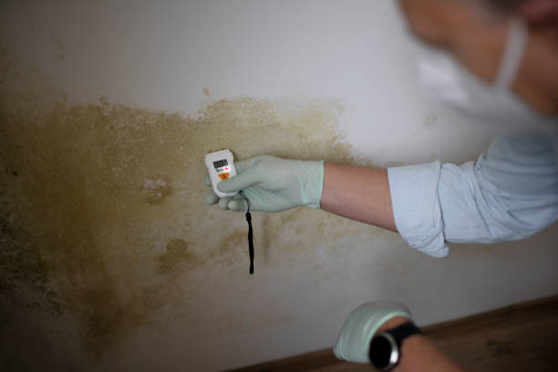 Water Damage Restoration in Franklin, PA