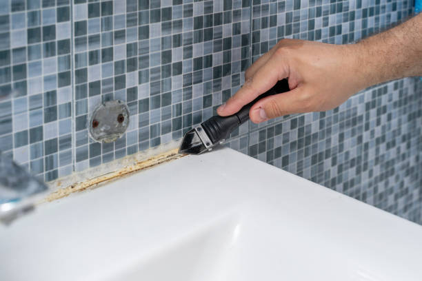 Best Affordable Mold Removal  in Franklin, PA