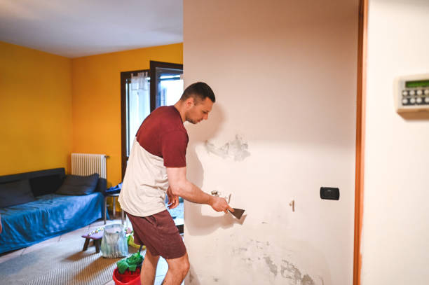 Best Mold Remediation Experts  in Franklin, PA